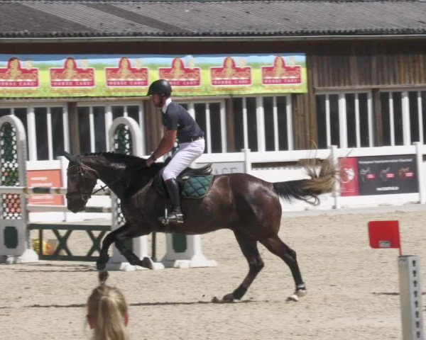 Reitturnier Memmingen/Schw. 2022