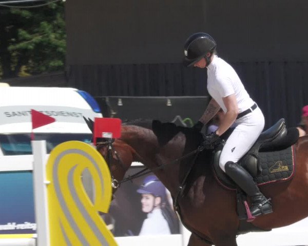 Reitturnier Memmingen/Schw. 2022