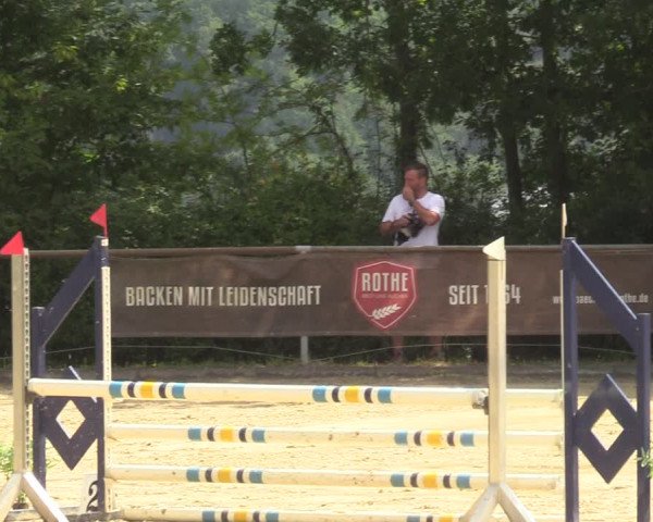 Reitturnier Haiger-Rodenbach 2022