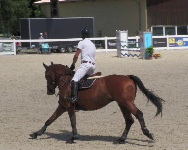 Reitturnier Memmingen/Schw. 2022