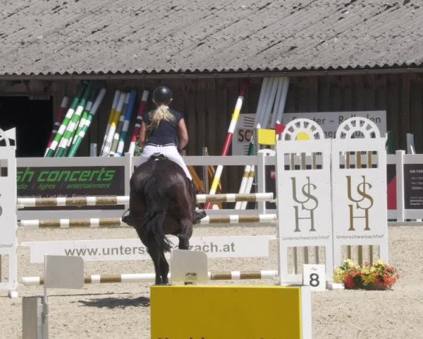 Reitturnier Memmingen/Schw. 2022