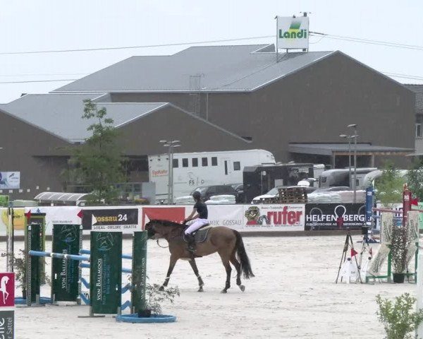 Reitturnier Gossau 2022