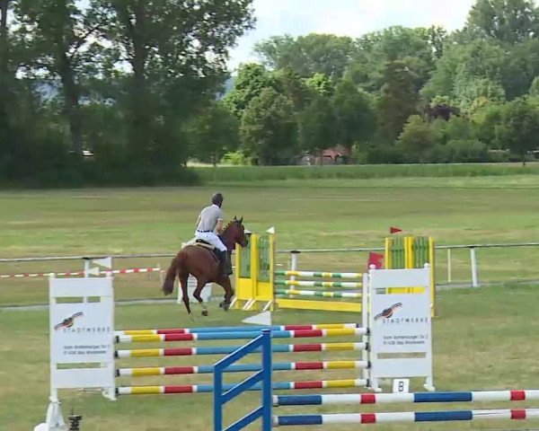 Reitturnier Bad Windsheim/Mfr. 2022
