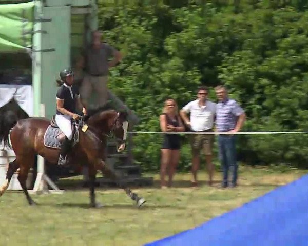 Reitturnier Bad Windsheim/Mfr. 2022