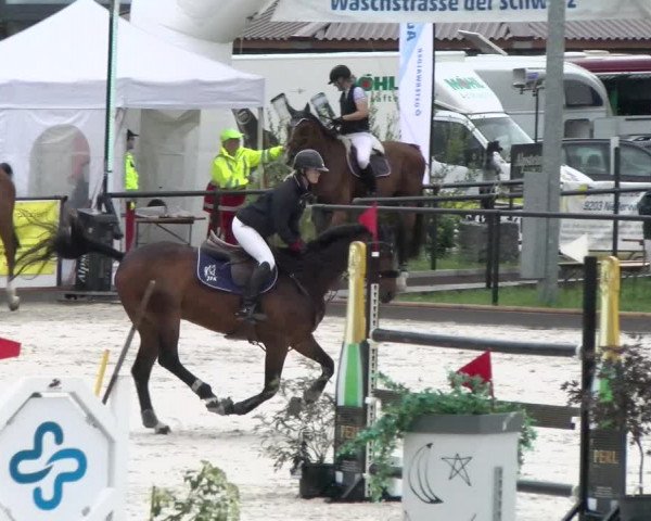 Reitturnier Gossau 2022