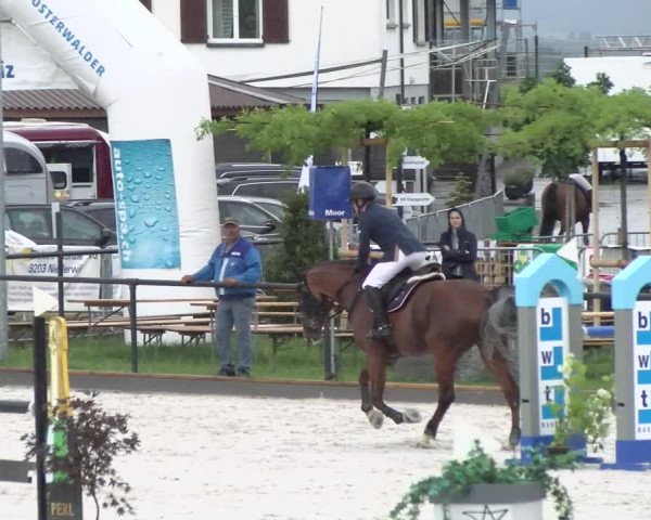 Reitturnier Gossau 2022
