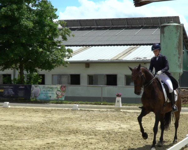 Reitturnier Bad Marienberg - OT Nisterau 2022