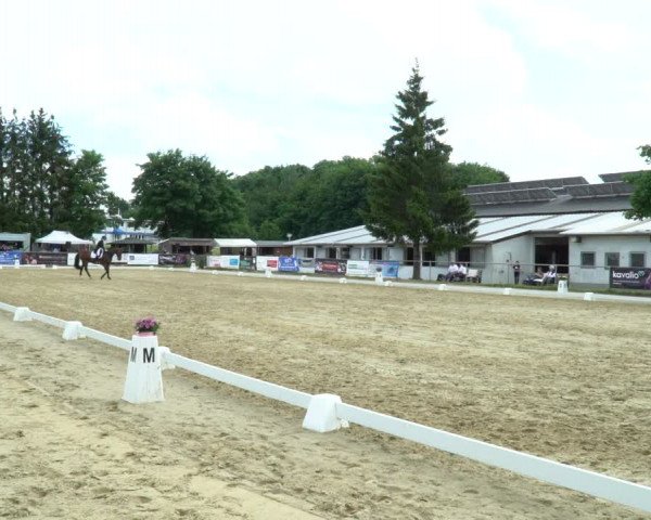 Reitturnier Bad Marienberg - OT Nisterau 2022