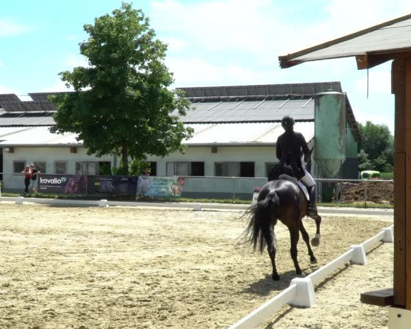 Reitturnier Bad Marienberg - OT Nisterau 2022
