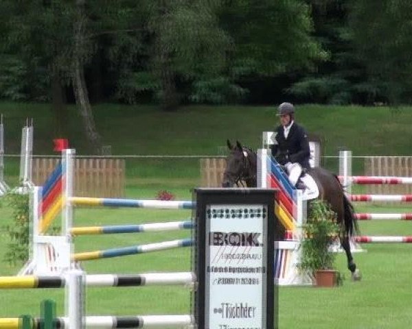 jumper Schuhbeck (Hanoverian, 2008, from Satisfaction FRH)