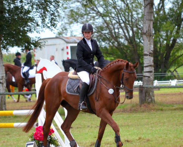 jumper Eiles (Hanoverian, 2008, from Espri)