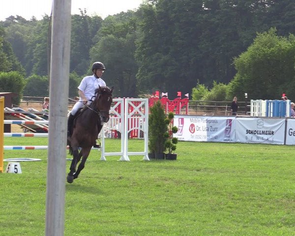 Reitturnier Schillerslage 2022