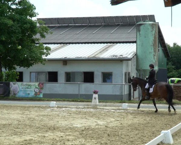 Reitturnier Bad Marienberg - OT Nisterau 2022