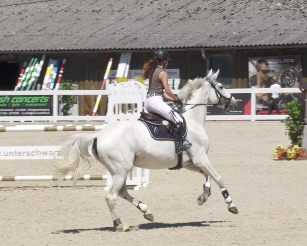 Reitturnier Memmingen/Schw. 2022