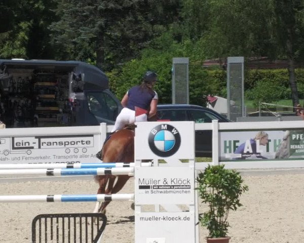 Reitturnier Memmingen/Schw. 2022