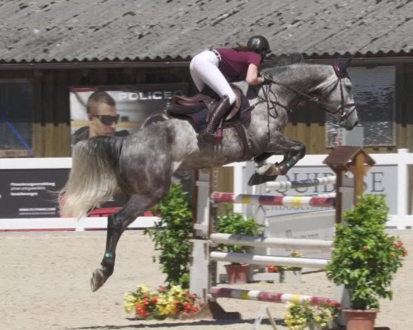 Reitturnier Memmingen/Schw. 2022
