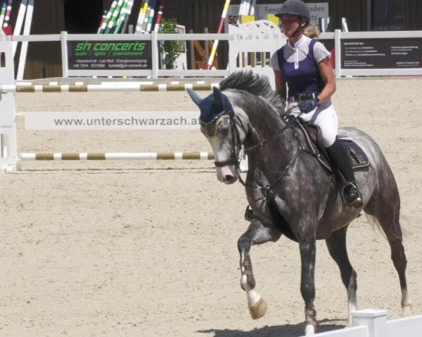 Reitturnier Memmingen/Schw. 2022