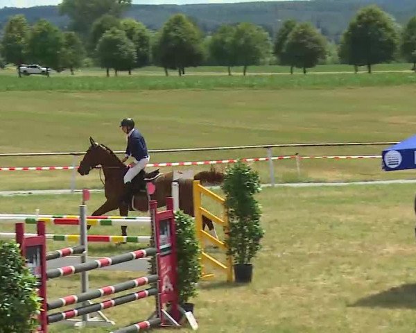 Reitturnier Bad Windsheim/Mfr. 2022