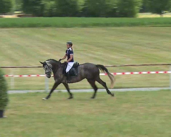 Reitturnier Bad Windsheim/Mfr. 2022