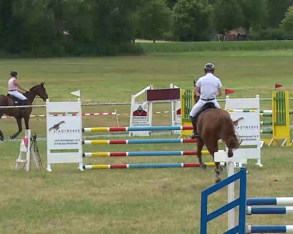 Reitturnier Bad Windsheim/Mfr. 2022