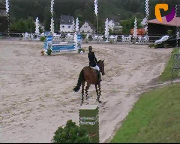jumper Chelsy 14 (Westphalian, 2008, from Christiano)
