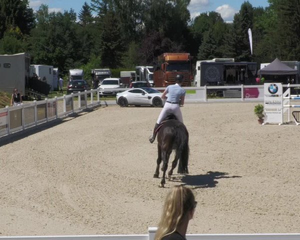 Reitturnier Memmingen/Schw. 2022