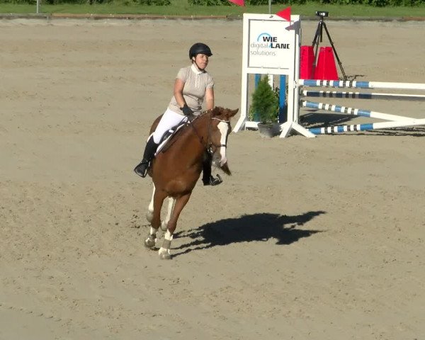 Reitturnier Maienfeld 2022