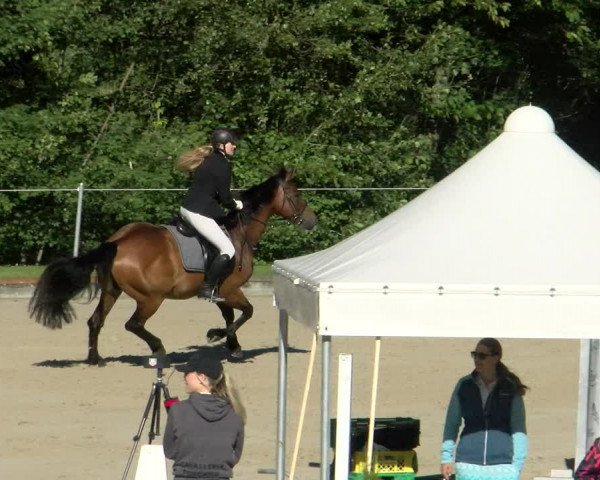 Reitturnier Maienfeld 2022