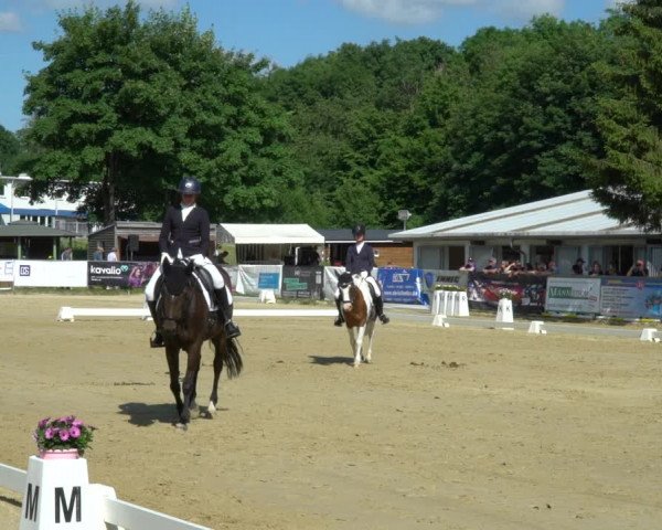 Reitturnier Bad Marienberg - OT Nisterau 2022
