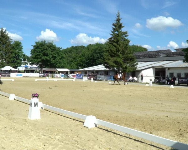 Reitturnier Bad Marienberg - OT Nisterau 2022