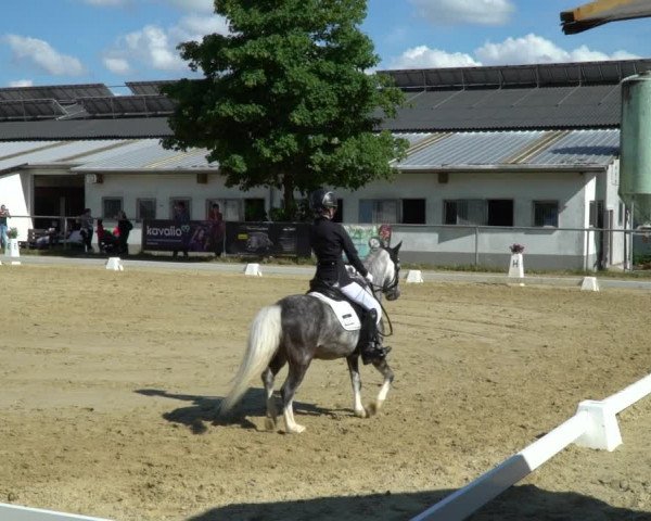 Reitturnier Bad Marienberg - OT Nisterau 2022