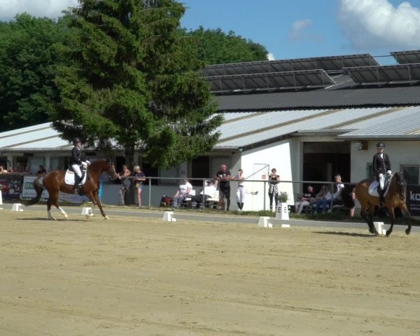 Reitturnier Bad Marienberg - OT Nisterau 2022