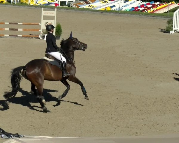 Reitturnier Maienfeld 2022