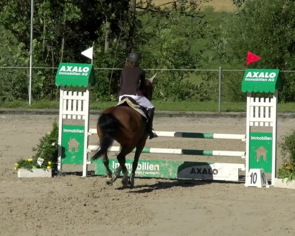 Reitturnier Maienfeld 2022