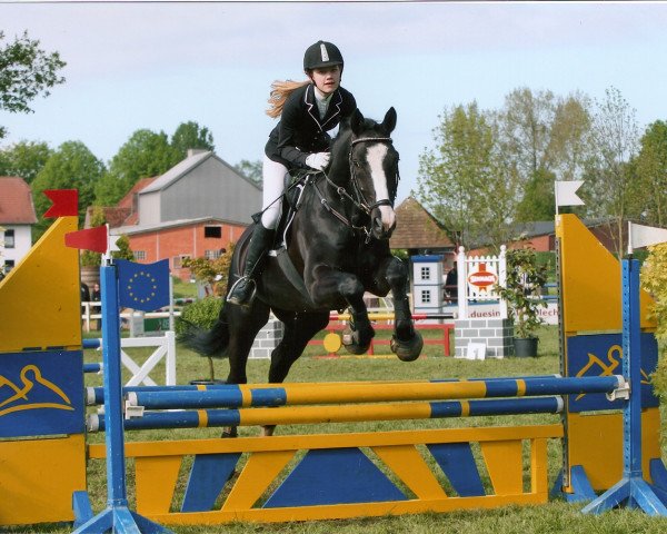 Springpferd Wyoming 194 (Hessisches Warmblut, 2005, von Wampun)