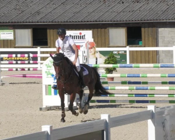 Reitturnier Memmingen/Schw. 2022