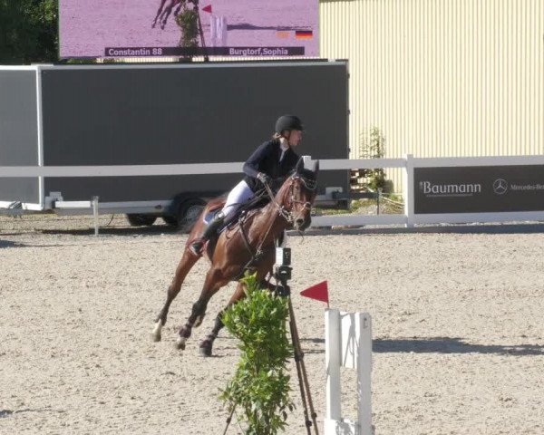 Reitturnier Memmingen/Schw. 2022