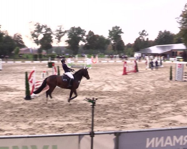 Springturnier Lüdinghausen 2021