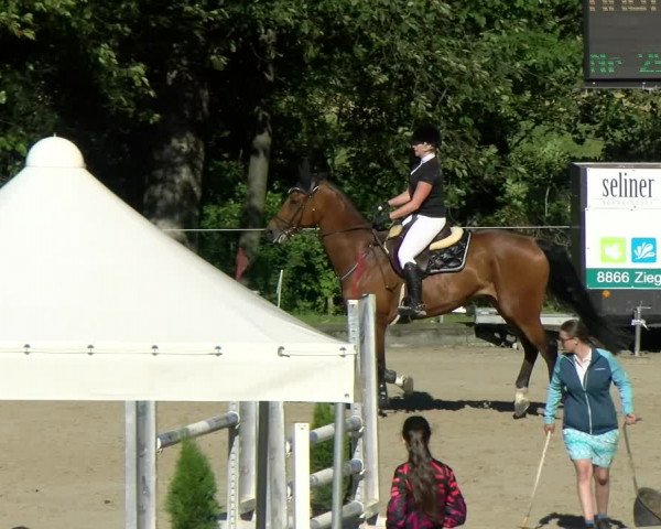 Reitturnier Maienfeld 2022