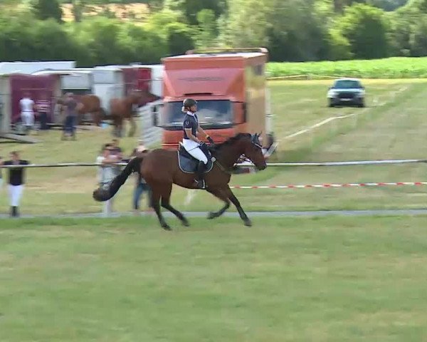 Reitturnier Bad Windsheim/Mfr. 2022
