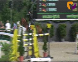 jumper Quality (Oldenburg, 2004)