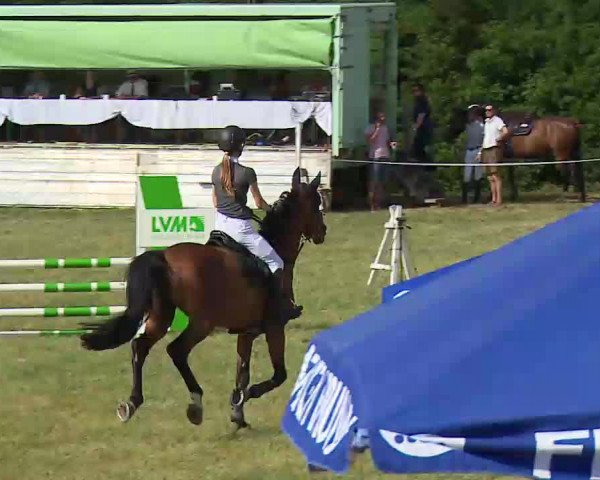 Reitturnier Bad Windsheim/Mfr. 2022