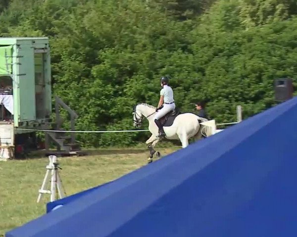 Reitturnier Bad Windsheim/Mfr. 2022