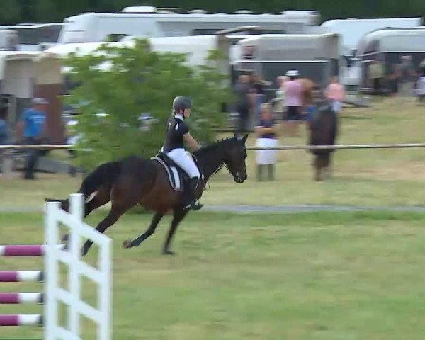 Reitturnier Bad Windsheim/Mfr. 2022