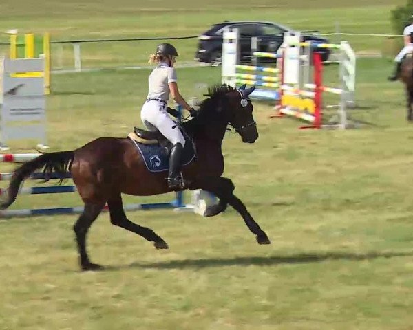 Reitturnier Bad Windsheim/Mfr. 2022