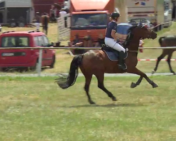 Reitturnier Bad Windsheim/Mfr. 2022