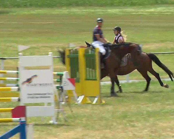 Reitturnier Bad Windsheim/Mfr. 2022