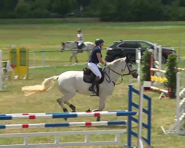 Reitturnier Bad Windsheim/Mfr. 2022