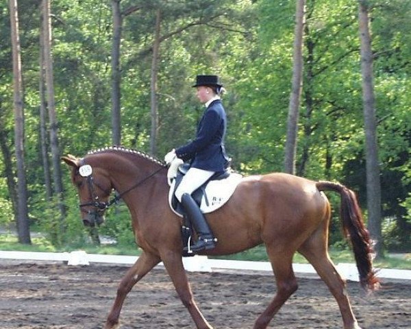 broodmare Salisha (German Warmblood, 2003, from Samber)