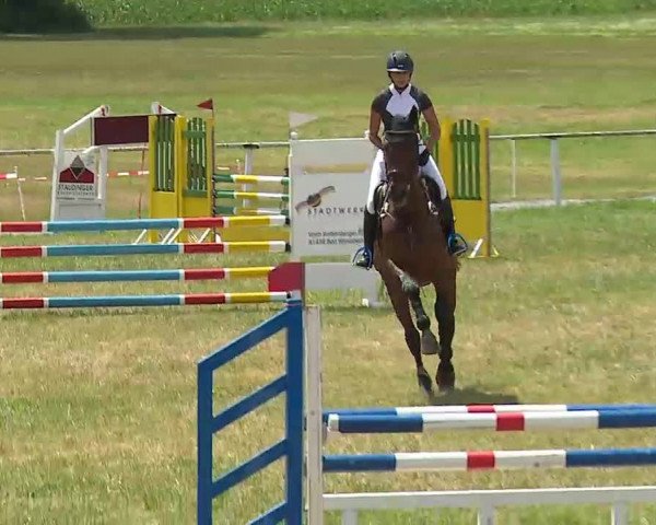 Reitturnier Bad Windsheim/Mfr. 2022